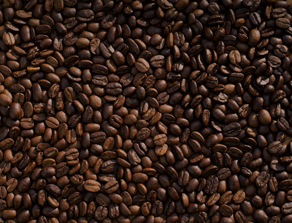 Local Coffee Tour