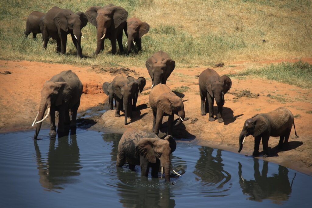 The Best Time to Visit Tanzania